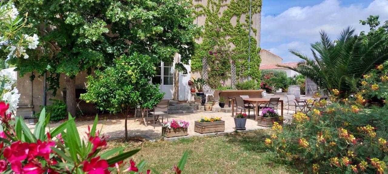 Maison Matisse Saint-Nazaire-d'Aude ภายนอก รูปภาพ